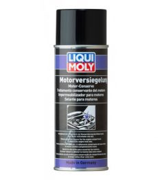 Spray Liqui Moly protectie motor pe exterior
